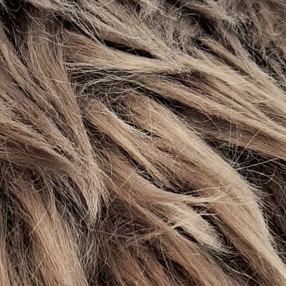 Pottery Barn Accents Pottery Barn Luxe Faux Fur Bean Bag Cover Only